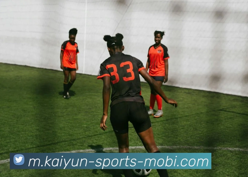 开云体育平台生态图