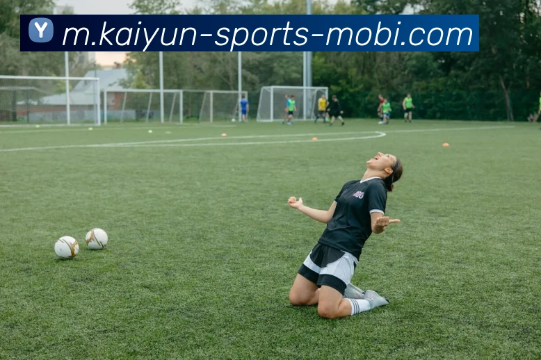 开云体育APP 封面图